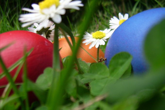 Bunte Eier mit Naturfarben