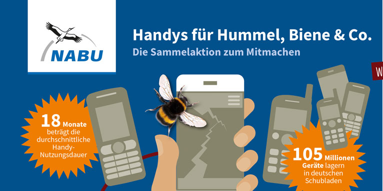 NABU-Handysammelaktion für den Insektenschutz