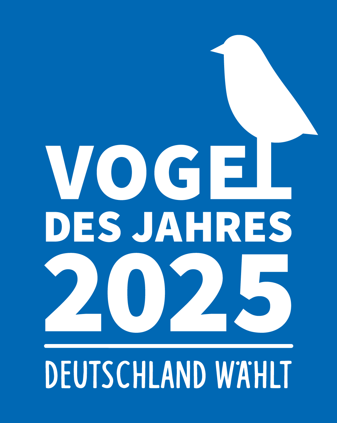 Vogel des Jahres 2025 - Bild: NABU